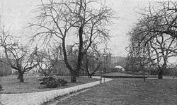 Foto fra haven i januar 1926, hvor man bl.a. ser en lille del af de mange stier, der oprindelig var i haven. I baggrunden skimtes gartnerboligen.