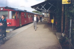Et af de røde Y-tog er netop ankommet til Kvistgaard Station på Nordbanen i september 1989