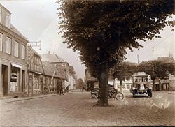 Bjergegade 24 delvist skjult bag en bus og nogle træer. Foto efter 1926