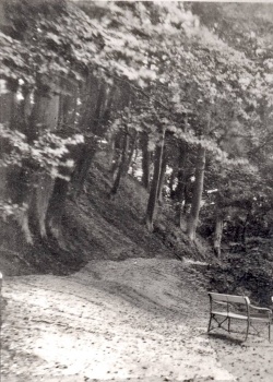 Rakkerrenden