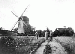 Meulenborgs stubmølle, fotograferet omkring 1950