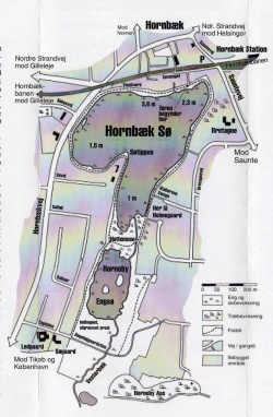 Kort over Hornbæk Sø, tegnet af Lars Bjørn Madsen 1999