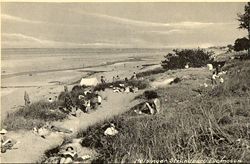 Strandparti Ellemosen.