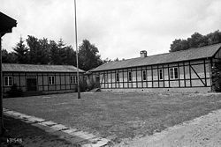 "Bonaventura" fotograferet i efteråret 1975. Foto: Anne-Sofie Rubæk