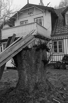 Villa Bøg Strandvejen 286 i Skotterup. Foto: Anne-Sofie Rubæk 16/3 1974