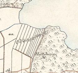 Sømosen med sine lange smalle grundstykker. Udsnit af matrikelkort 1879
