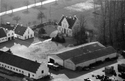 Sindshvile fotograferet i marts 1973