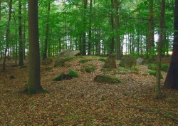En af de stadig imponerende stendysser, der er at se i Horserød Hegn